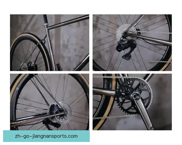 骑行世界：探索公路自行车之美