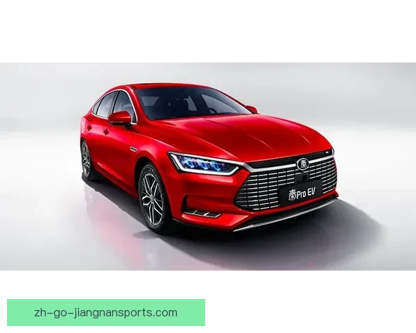 射击冠军：优秀者的胜利之路