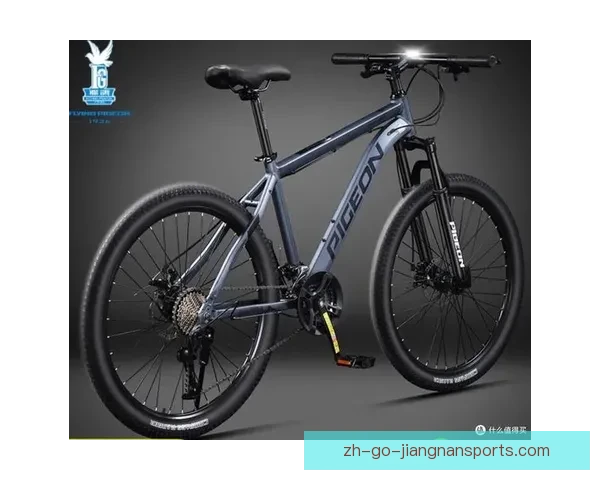 山地车排名：挑选最佳装备，征服险峻山川