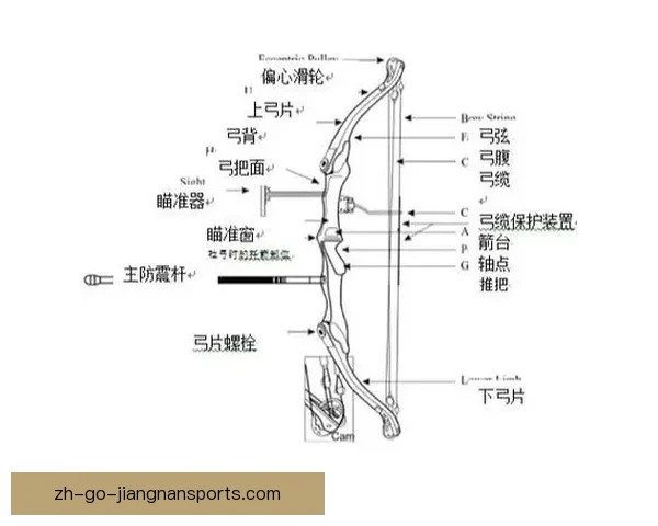 射箭盘口分析：技巧解析与实战应用
