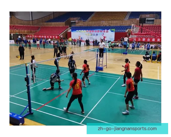 棒球排名揭晓：球队实力逐级递增 盼登顶争夺王座