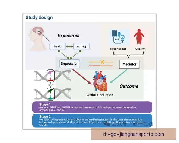 跳水数据分析：技术得分与心理状态的关联性研究