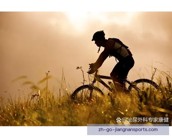 骑行直播：自行车爱好者的乐园